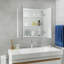 Cheree W 600mm H Surface Frameless Medicine Cabinet Mirror 3 Adjustable-1233364234