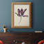 «Antique Tulip Study IV», toile encadrée de qualité supérieure - prête à être accrochée-940902898