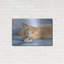 «Jack» par Janet Pidoux-101657081