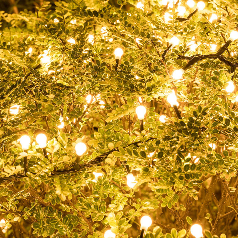 588'' Globe String Lights