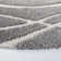 Miruna Shag Performance Abstract Rug