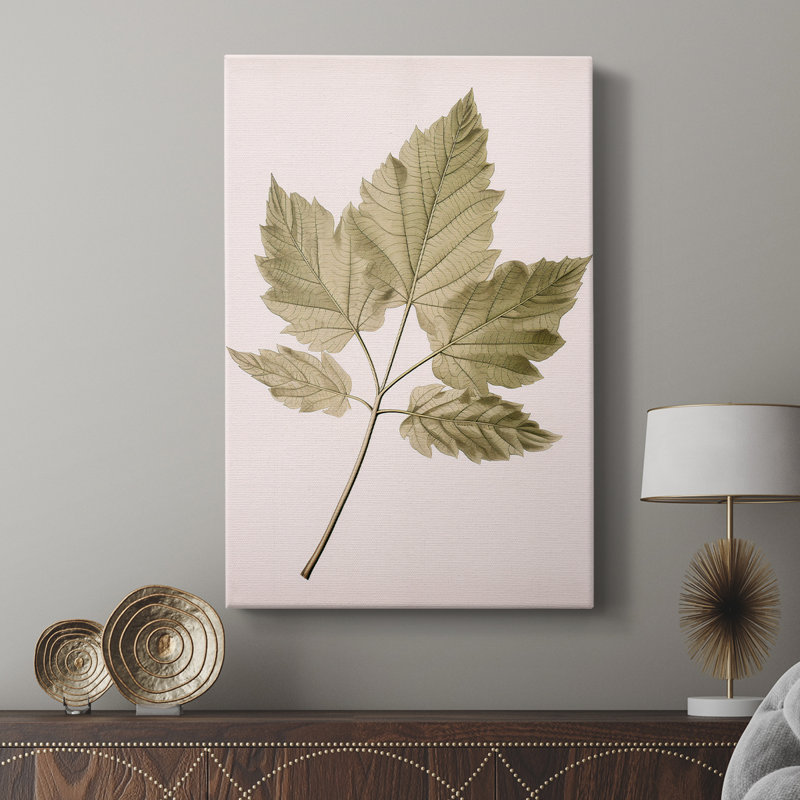 Impression florale rétro XXV - galerie Cavas sur mesure, H 60 po x l 40 po