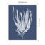 «Seaweed 1 White on Indigo Blue» par Fab Funky Wood, reproduction d'art encadrée-917451240