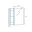 Pika Mirrored Medicine Cabinet-69520188