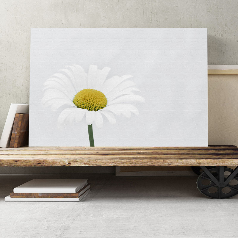 White Daisy - Wrapped Canvas, 40cm H x 60cm W