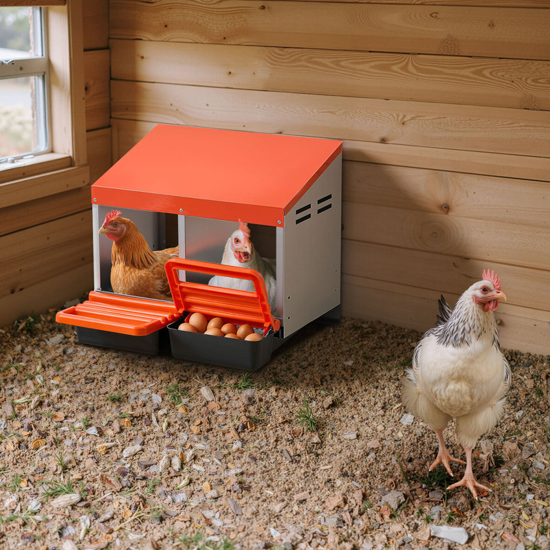 Boîtes de nidification pour poulets, 2 compartiments, collection Easy Egg, fixation murale, facile à assembler, acier galvanisé et plastique haute résistance, boîtes de nidification à roulettes pour poules pondeuses, orange