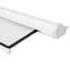 Écran de projection manuel blanc 100 "Pull Down