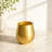 Plastic Wine Glasses Set of 4 (18oz)
