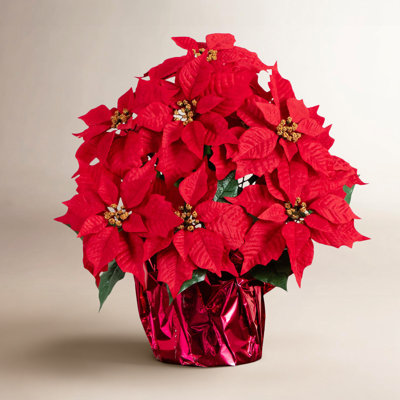 Poinsettia Floral Arrangement