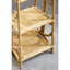 Bourbeau 45cm W Rattan Shelving Unit