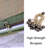 Racer and Go Kart