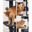 143cm H Cat Tree-100556302-65929857