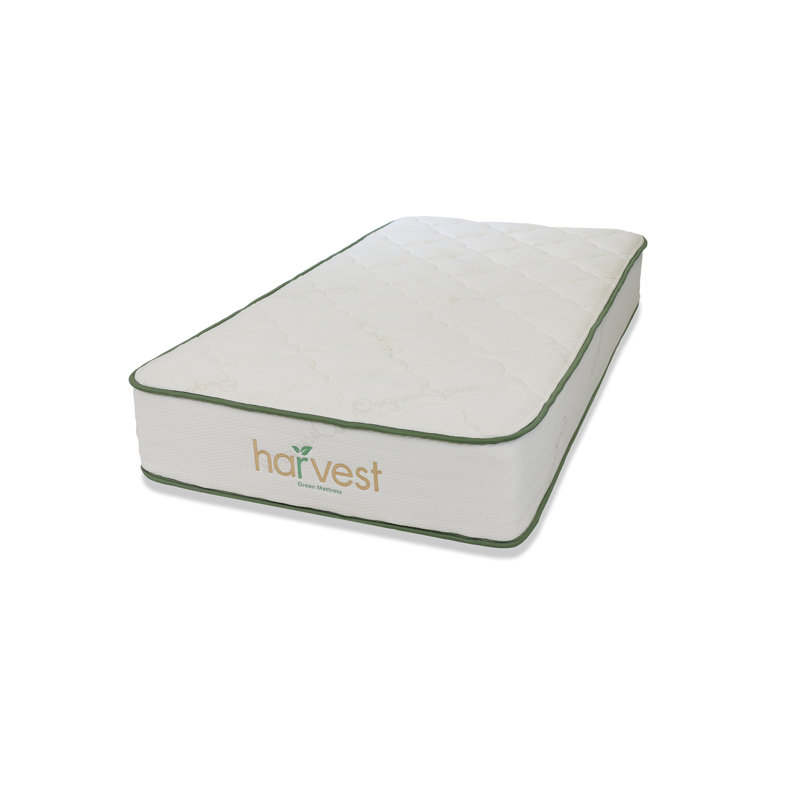 Twin Organic Latex Foam Pillowtop Mattress