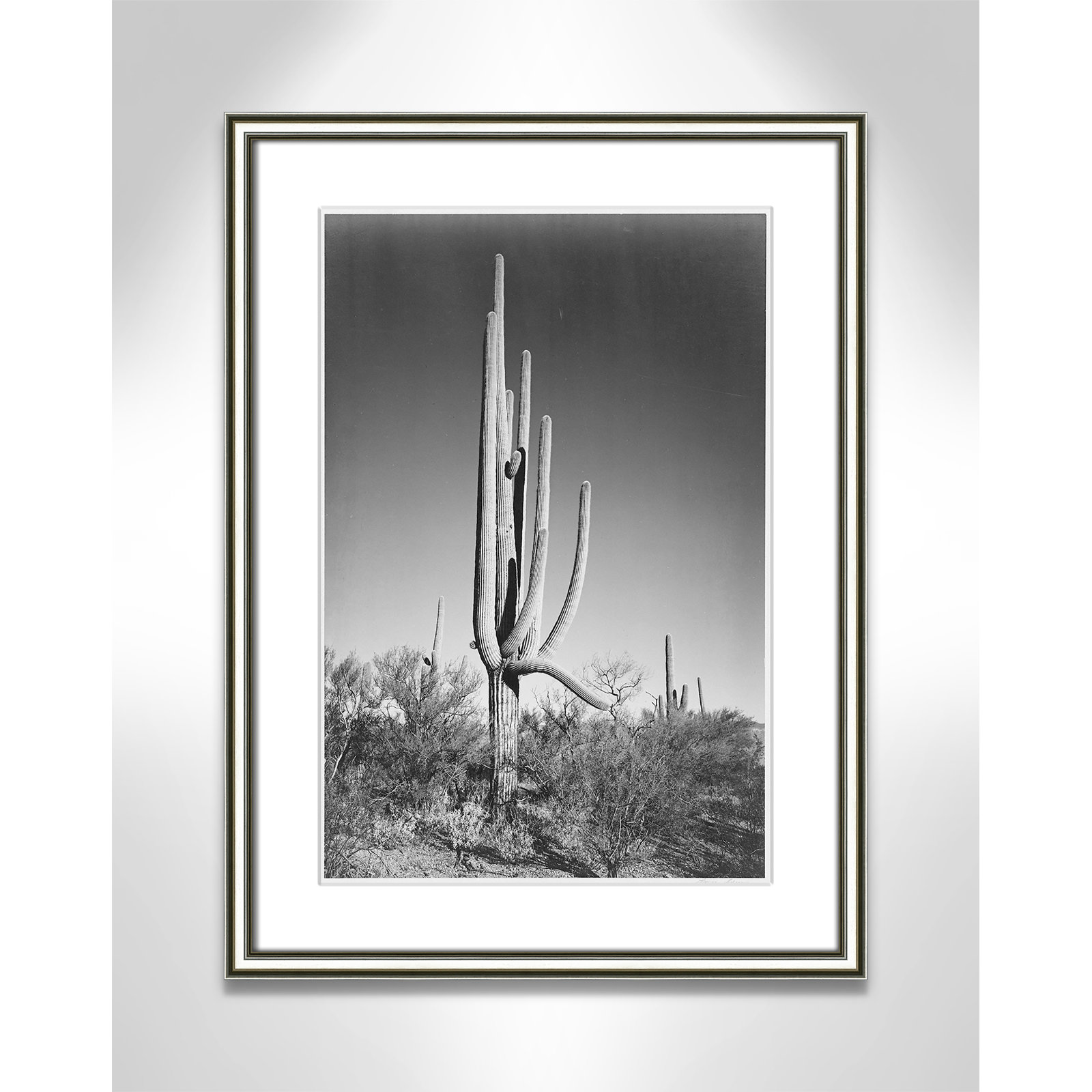 Saguaro National Monument Print by Ansel Adams, 24.25" H x 18.25" W x 0.88" D, Silver