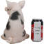 Figurine Jesni