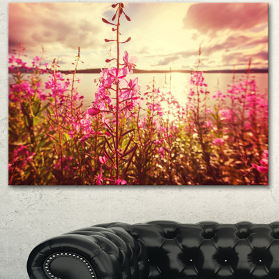 " Meadow With Purple Flowers Alaska "