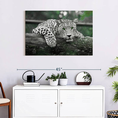 Jaguar aux yeux verts