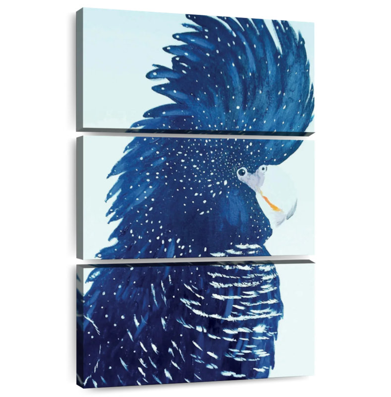 Brampt Pablo The Black Cockatoo, 65'' H x 42'' W