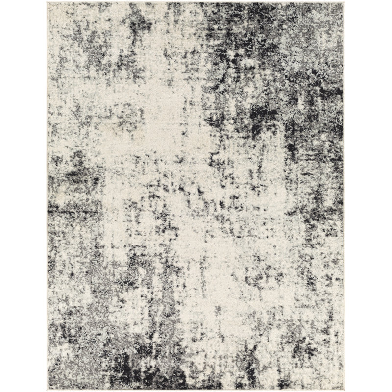 Tapis noir / blanc Mckeel, Rectangle 5 pi 3 po x 7 pi