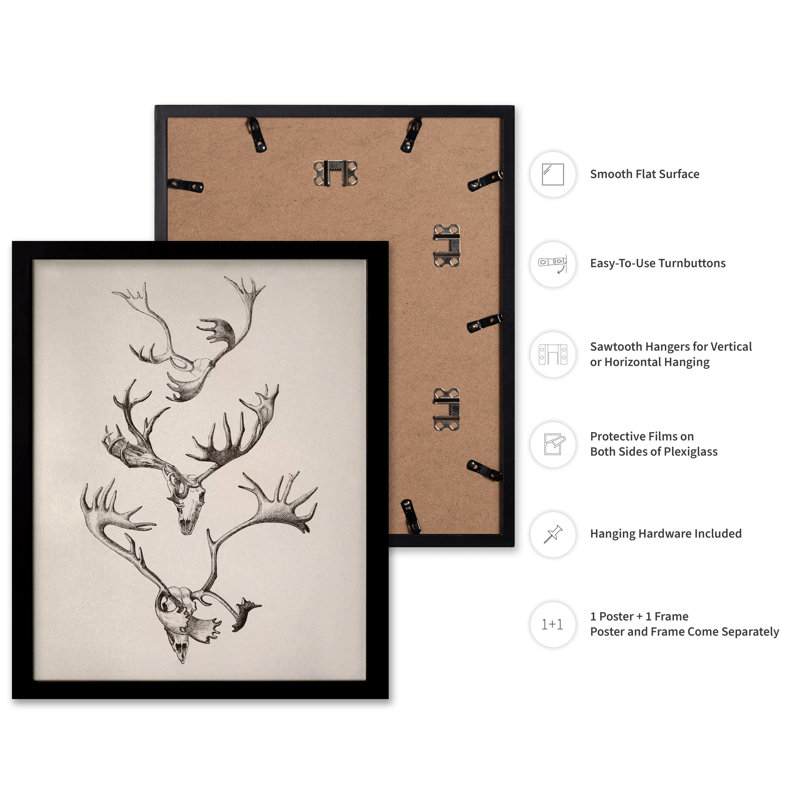 Crâne et bois, 11"H x 14"W, Poster, Black Framed