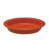 Persimmon is out of stock selected