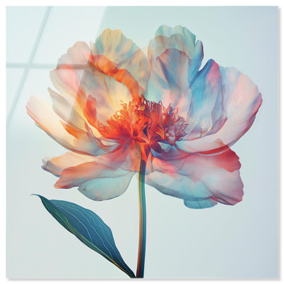 Décoration murale en acrylique Peony Phases par Art Remedy, prête à être accrochée