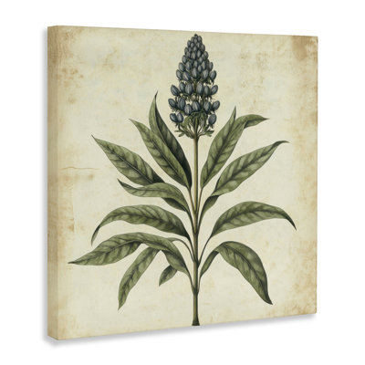 Illustration rétro botanique bleue sur toile, design par Petal Prints Design
