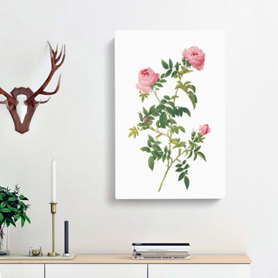 English Roses in Pink by Pierre-Joseph Redoute - Wrapped Canvas