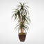Faux Yucca Tree in Metal Pot
