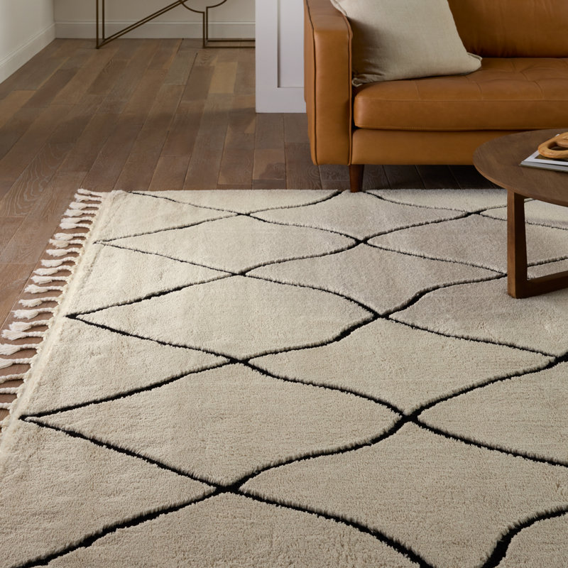 Modern Moroccan Black and Ivory 5' x 7' Braided Trellis Shag Rug