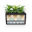Cararo Pot Planter