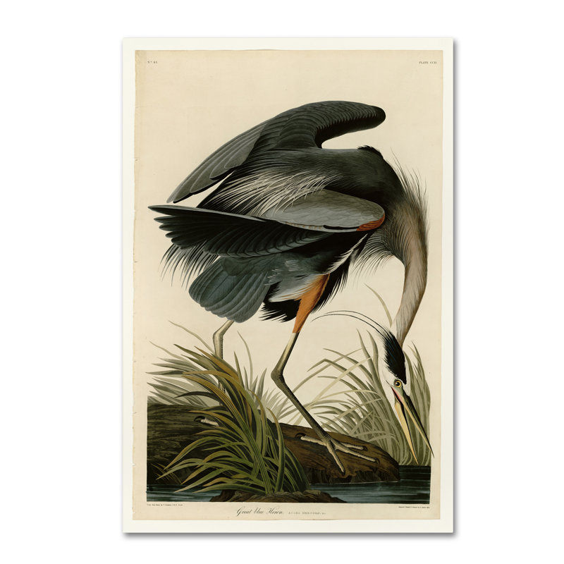 « great blue héron », impression sur toile tendue, H 19 po x l 14 po x P 2 po