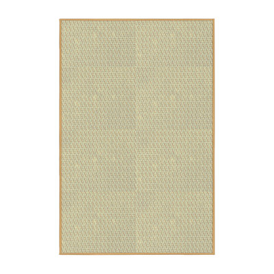 Indoor Rug