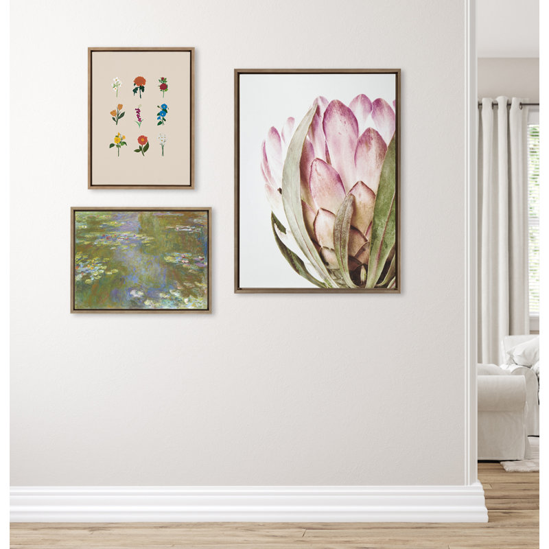 «Pink Protea Flower» par Amy Peterson, reproduction d'art sur toile encadrée, H 38 po x l 28 po, Brun