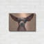 "Chihuahua" par Thomas Fluharty-1534620231