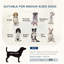 Polyester Pet Bed