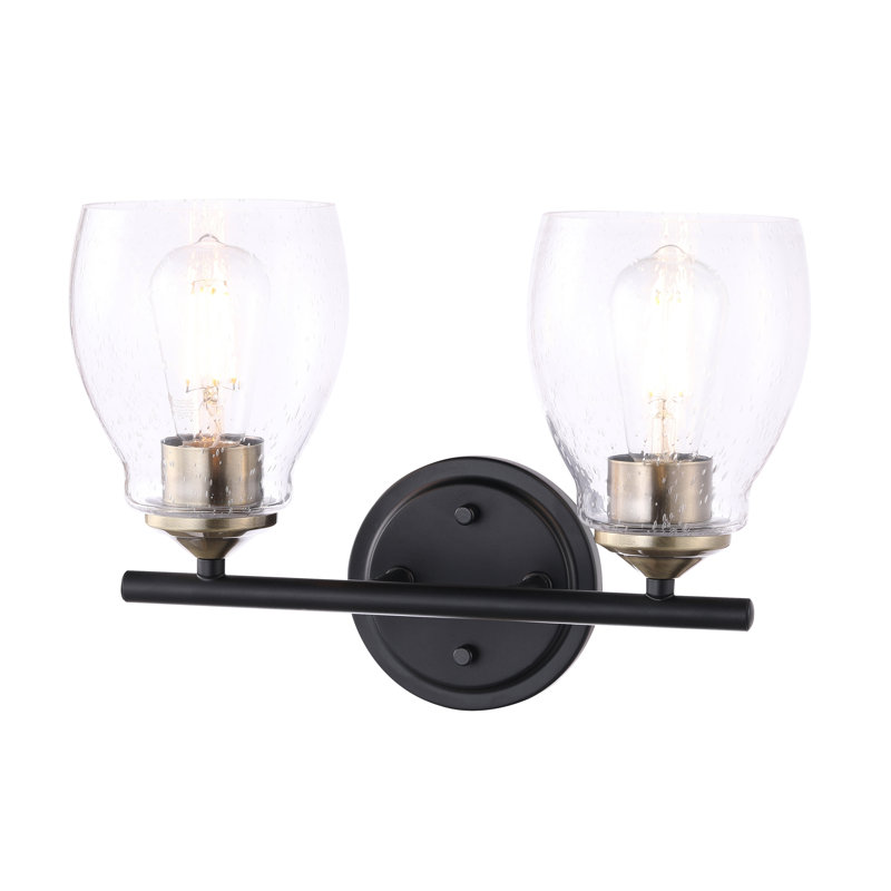 Longshore Tides Blodwyn Brushed Nickel Vanity Light, Black