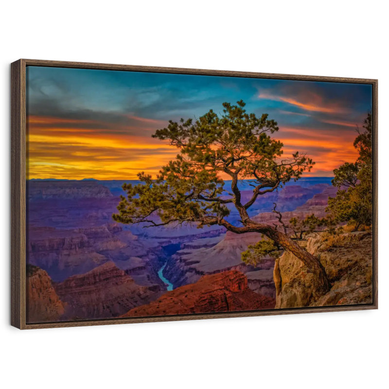 Genévrier du Grand Canyon, 25 po x 17 po, Cadre flottant en noyer