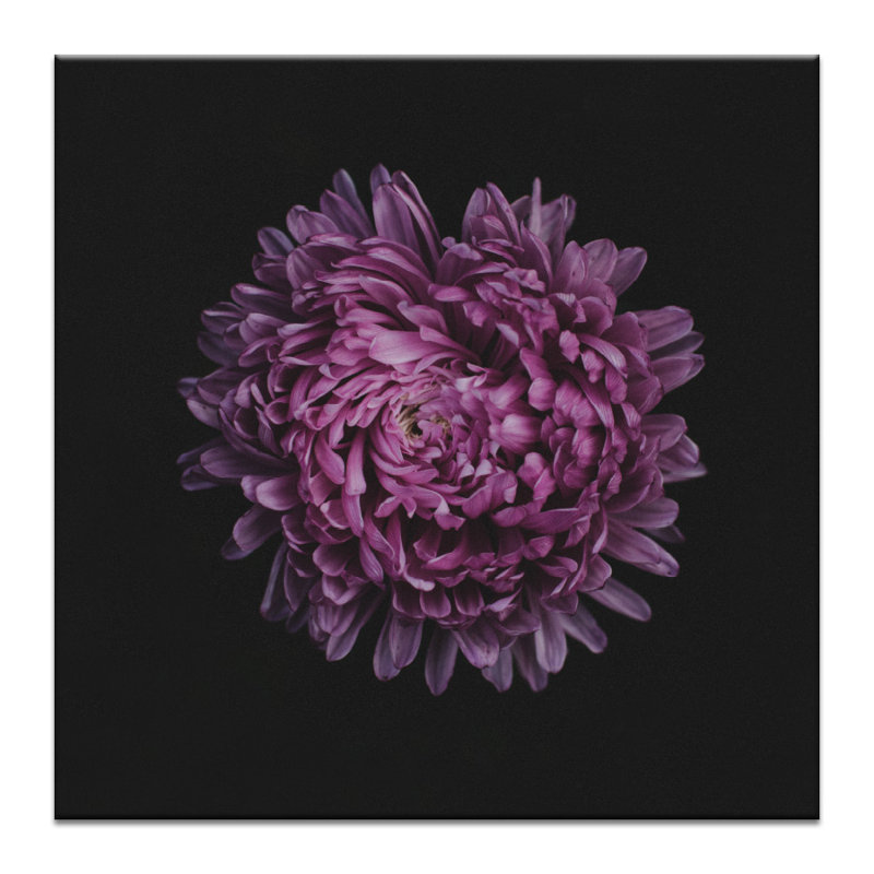 Print on Canvas, 41cm H x 41cm W, Wrapped Canvas