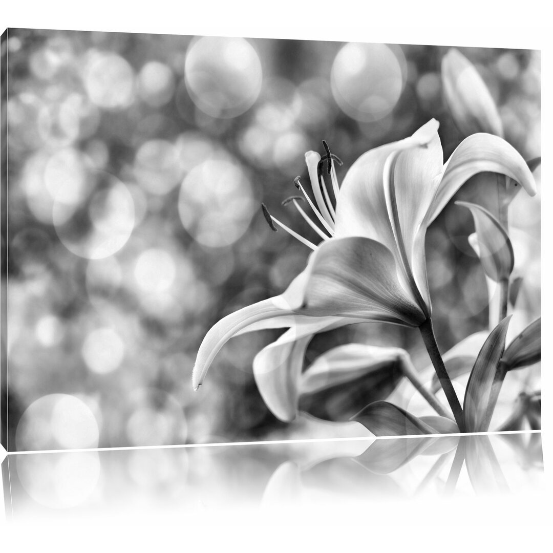 Leinwandbild Wunderschöne Lilien in Monochrom