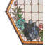 20" Wide X 20" High Succulent Window