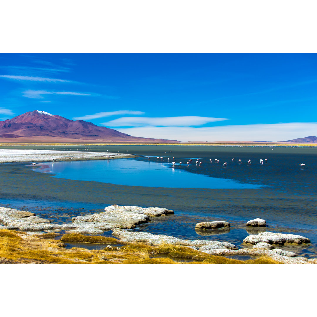 Schöne Aussicht auf die Atacama-Wüste von Filipefrazao - Leinwandbild