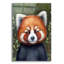«Red Panda Portrait» par Momart, art mural en verre acrylique-1697007510