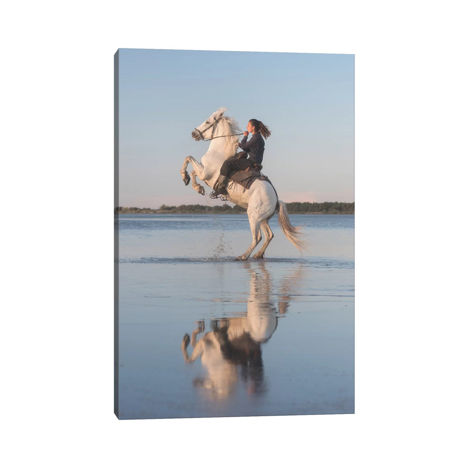 Natur Pur White Angels Of Camargue IV by Daniel Kordan - Wrapped Canvas ...