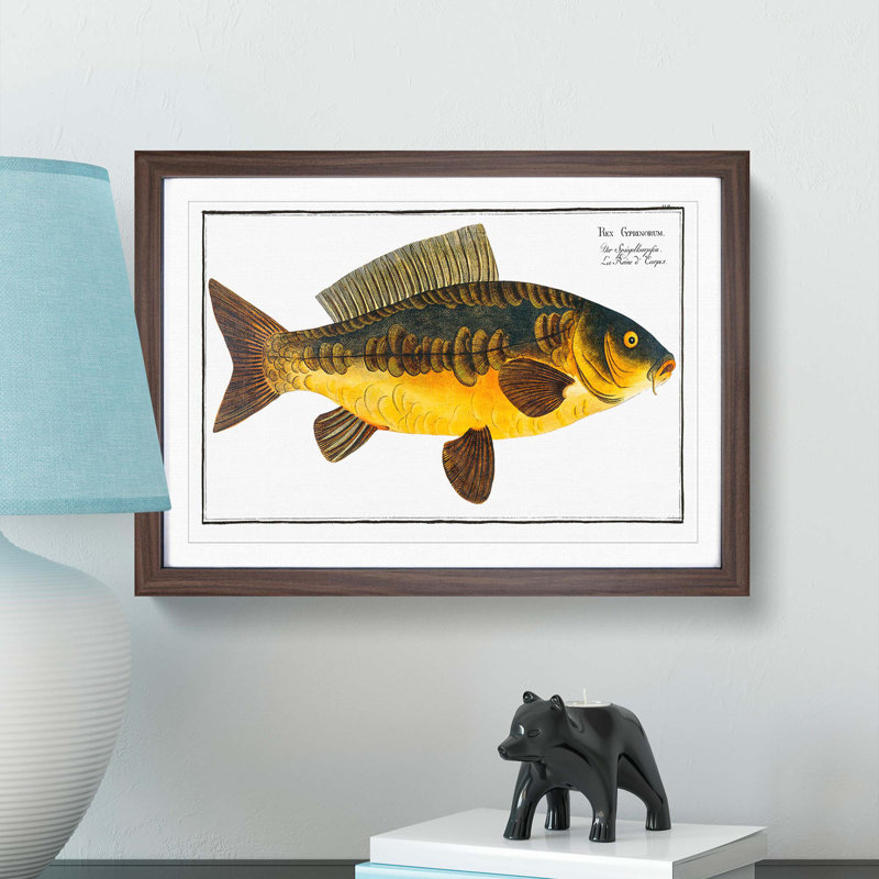 Royal Carp Fish by M.E. Bloch - Framed Print, 40cm H x 60cm W x 2cm D, Walnut