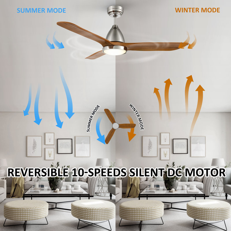 52'' Ceiling Fan with LED Lights