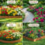 Ensemble de 6 bordures de jardin en métal galvanisé, bordure de jardin pliable, pointe de requin, bordure de pelouse pour parterre de jardin