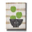 «Green Apples On Wood» par Linda Woods, art mural sur toile-899334803