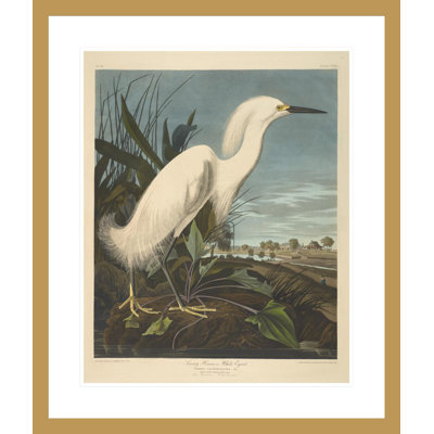 Héron enneigé ou aigrette blanche des oiseaux d'Amérique par John James Audubon, impression giclée encadrée