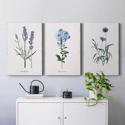 " Imperial Blue " 3 - Pieces